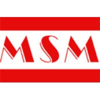 PT Multi Service Mining logo - Similar company to Pt Bara Permata Mining