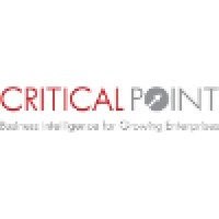 Critical Point L.L.C.