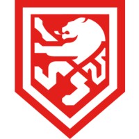 LION Branding logo - Similar company to Bright Secure Recycling