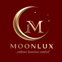 Moonlux Ltd. logo - Similar company to Drivemaster
