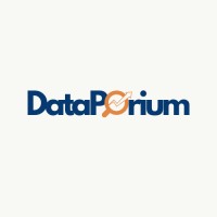 DataPorium logo - Similar company to Navito