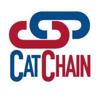 CatChain Project logo - Similar company to Your Time Tv