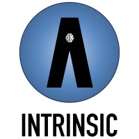 INTRINSIC AI logo - Similar company to Dbm Systems Ltd.