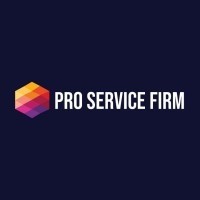 Pro Service Firm logo - Similar company to Eblingo Llc
