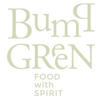 Bump Green logo - Similar company to Digien