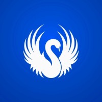 WHITE SWAN LOGISTICS (INDIA) PRIVATE LIMITED logo - Similar company to Phoenix Mobility