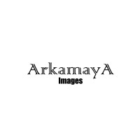 Arkamaya Images logo - Similar company to Arkamaya Group