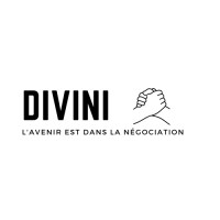 Divini logo - Similar company to Carret Design