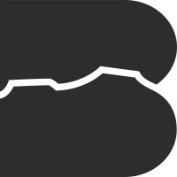 Boundless Studio logo - Similar company to Coranimus Rex