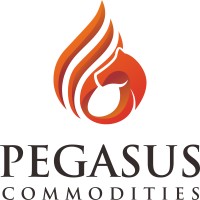 Pegasus Commodities, LLC logo - Similar company to Direct Commodity Brokers Llc