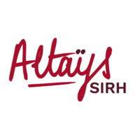 Altays logo - Similar company to Training Orchestra