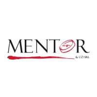 MENTOR SRL logo - Similar company to T2 Srl