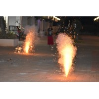 WIP logo - Similar company to Sapientpro