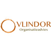 Vlindor Organisatieadvies logo - Similar company to Cambium College