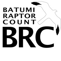 Batumi Raptor Count