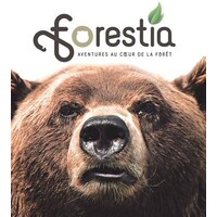 Forestia logo - Similar company to Domaine Des Grottes De Han