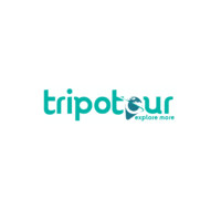 TripOtour logo - Similar company to Clickinsights