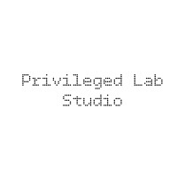 Privileged Lab EURL logo - Similar company to Xo7 Digital Agency