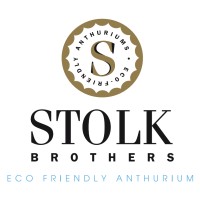 Stolk Brothers logo - Similar company to Vivercid