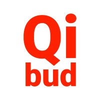 Qibud Sàrl logo - Similar company to Netmanagerpro