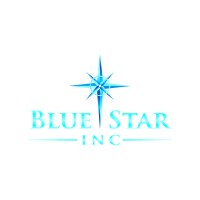 Blue Star Technologies logo - Similar company to Bluestar Technologies Llc