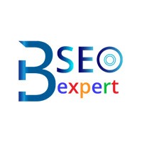 SEO Expert in Bangalore logo - Similar company to Bangalore Web Guru - Website Development And Digital Marketing Services In Bangalore, India
