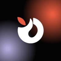 Aloha Studio logo - Similar company to Lovlisoft