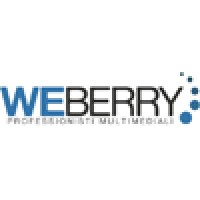 We Berry logo - Similar company to Roof Videodesign