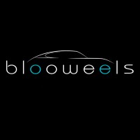 Blooweels logo - Similar company to Demeures De Style