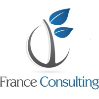 France Consulting SAS logo - Similar company to Welding Engineering