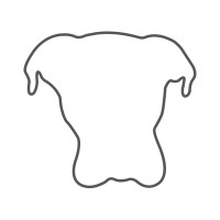 Unobvious Solutions logo - Similar company to Notable Level, Sa