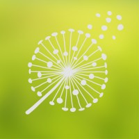 The Meadows logo - Similar company to Ymca Newcastle