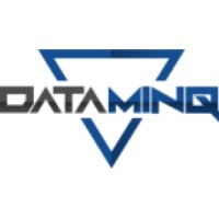 DataMinq logo - Similar company to Yesontech