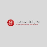 Skala Bilişim ve Danışmanlık LLC. logo - Similar company to Wow Enterprise Llc