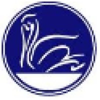 Pelican Technology Partners logo - Similar company to Digitalpxo