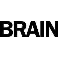 Brain Lön & HR AB logo - Similar company to Bizz Zolutions