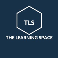 The Learning Space logo - Similar company to Transform Africa Limited