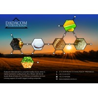 Dadacom International logo - Similar company to Falconbridge Resources