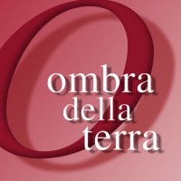 NVP logo - Similar company to Merknemers