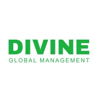 Divine Global Management logo - Similar company to Equivest Research Pvt. Ltd.