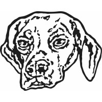 Aoife Coffee logo - Similar company to Cool Coffee