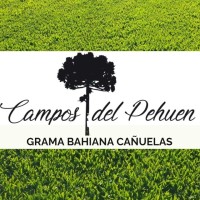 Campos del Pehuen SRL logo - Similar company to Plasti S.A