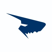 Domshark logo - Similar company to Saile