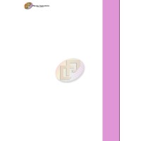 Chiprime Pvt Ltd logo - Similar company to Bitsocket