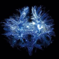 Incept Robotics logo - Similar company to Robotics Without Limits