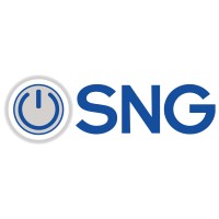 SNG Consultores logo - Similar company to Pss Technologies Mexico