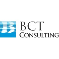 BCT Consulting logo - Similar company to The Amber Group