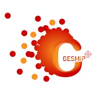GESMIP logo - Similar company to Leuven Institute For Advanced Study (Lias)