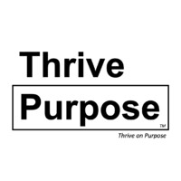 Nirvana Consulting LLC logo - Similar company to Nirvana Consulting