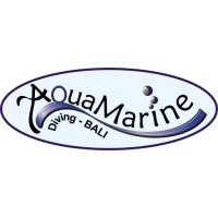 AquaMarine Diving - Bali logo - Similar company to Inisiator